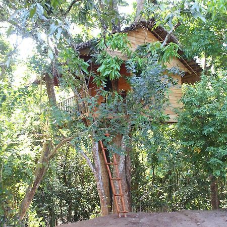Tree House-Midigama Villa Weligama Exteriör bild