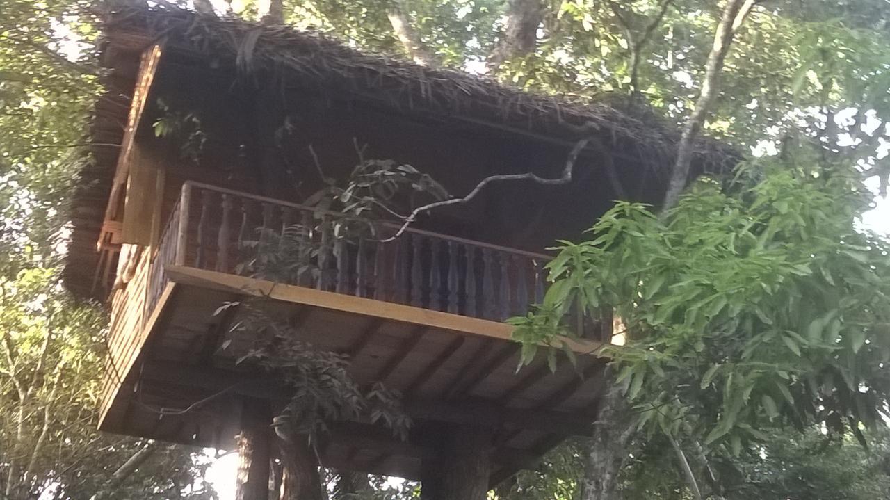Tree House-Midigama Villa Weligama Exteriör bild