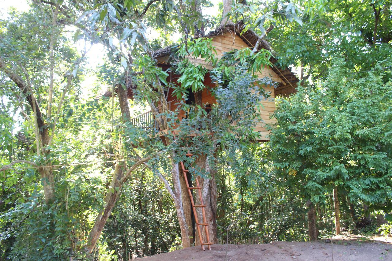 Tree House-Midigama Villa Weligama Exteriör bild