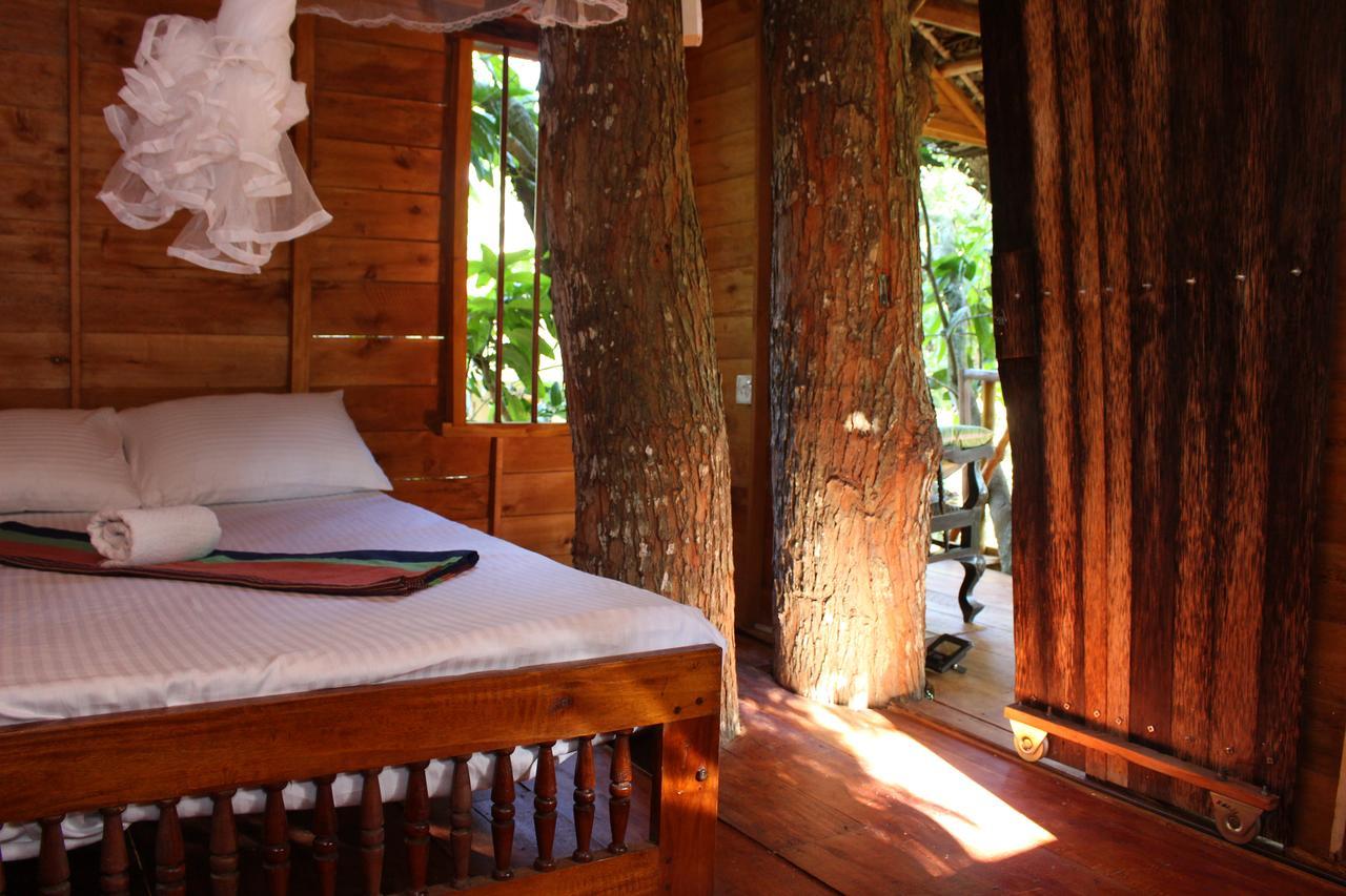 Tree House-Midigama Villa Weligama Exteriör bild