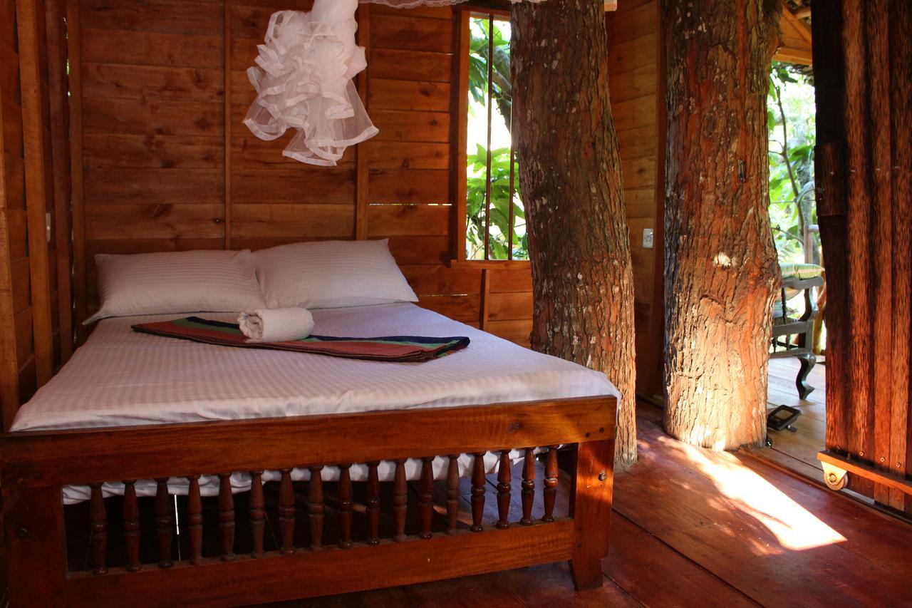Tree House-Midigama Villa Weligama Exteriör bild