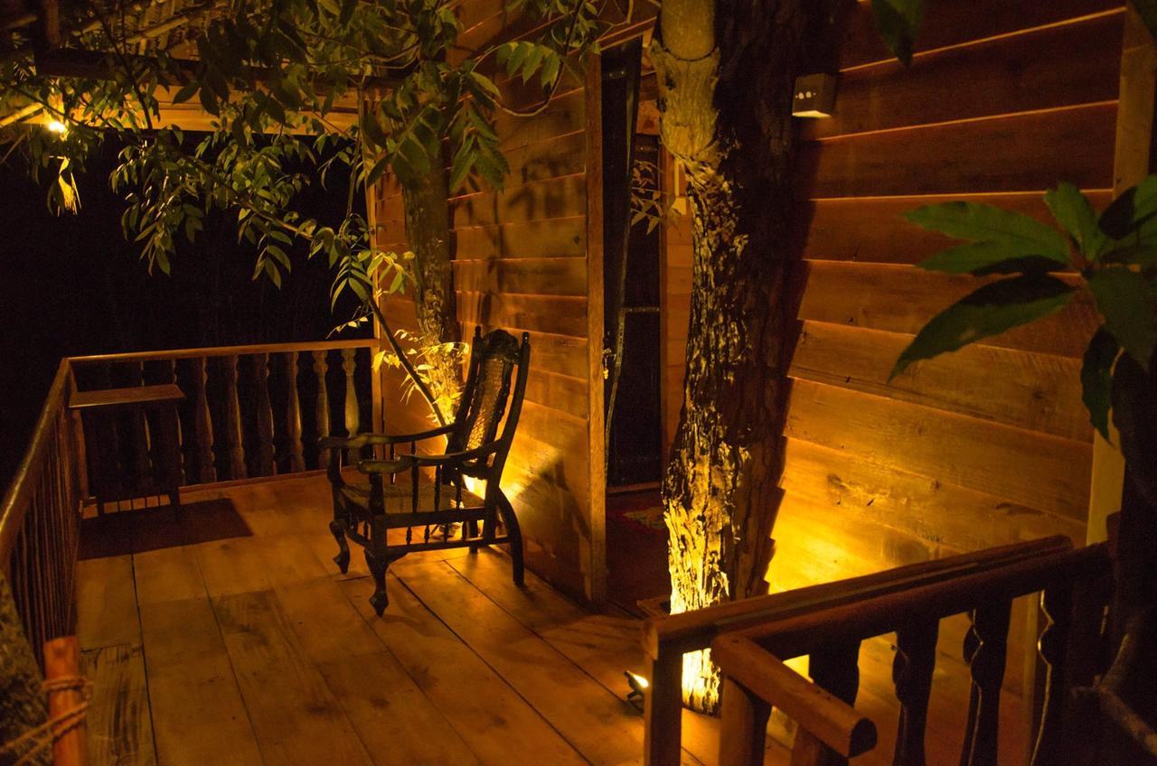 Tree House-Midigama Villa Weligama Exteriör bild