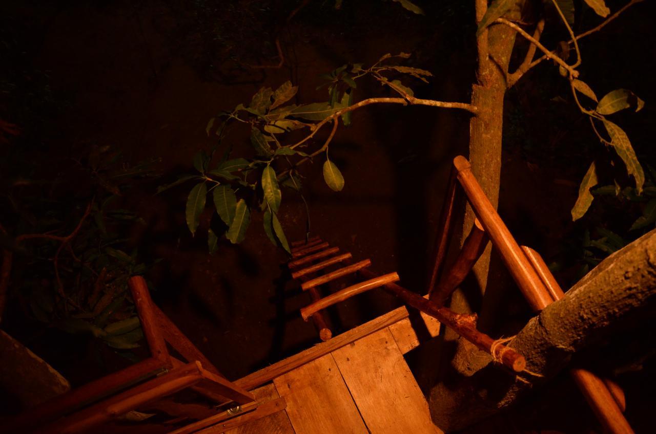 Tree House-Midigama Villa Weligama Exteriör bild