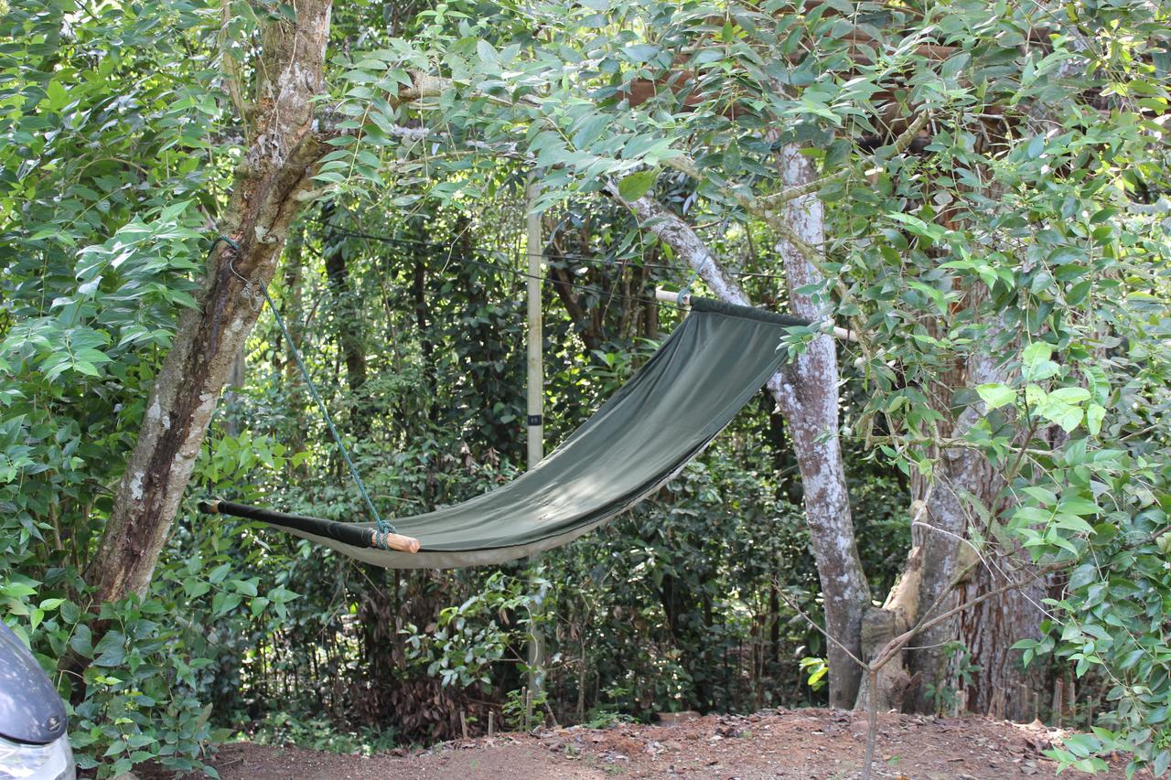 Tree House-Midigama Villa Weligama Exteriör bild