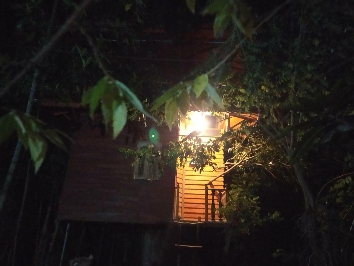 Tree House-Midigama Villa Weligama Exteriör bild