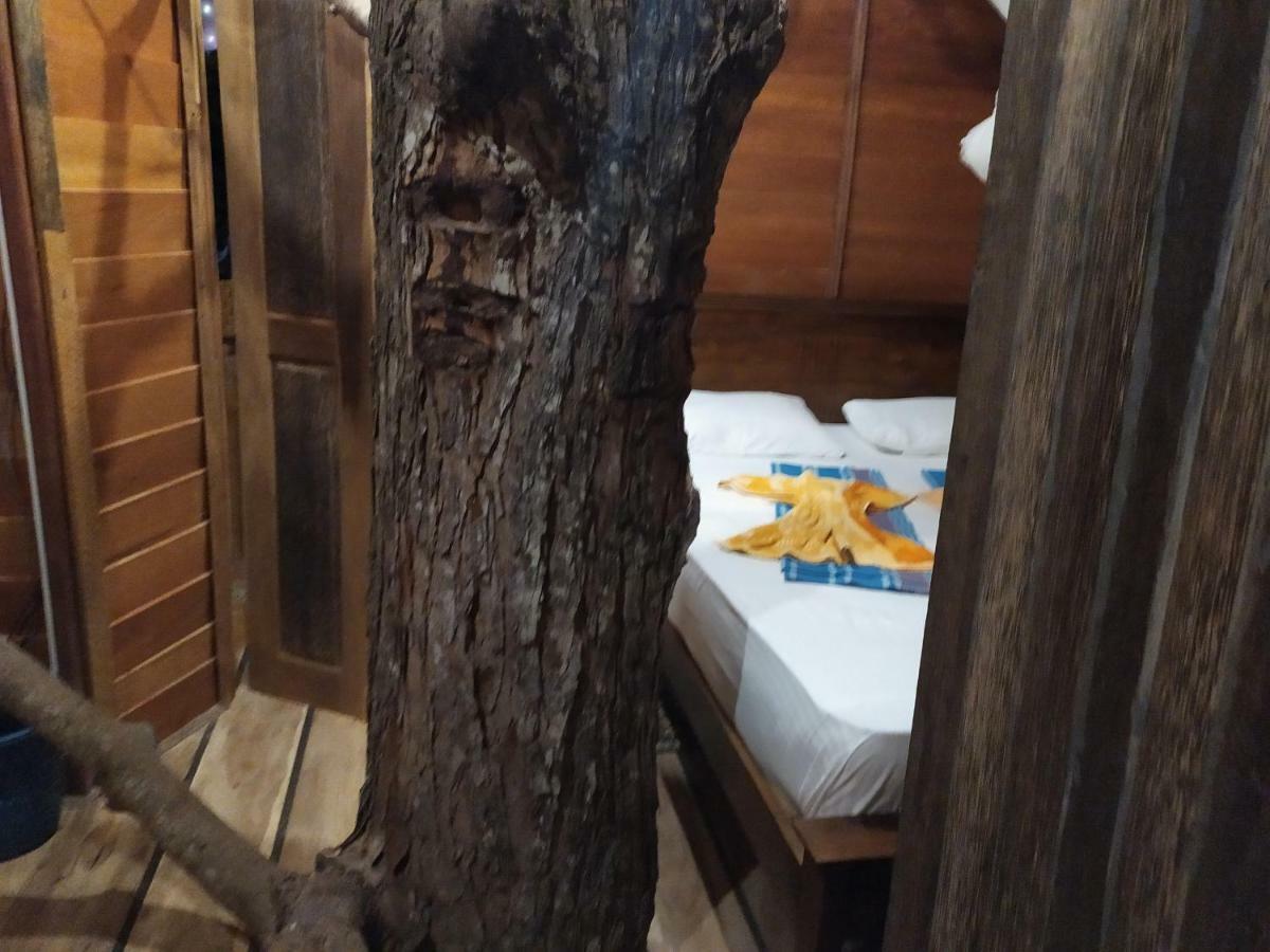 Tree House-Midigama Villa Weligama Exteriör bild