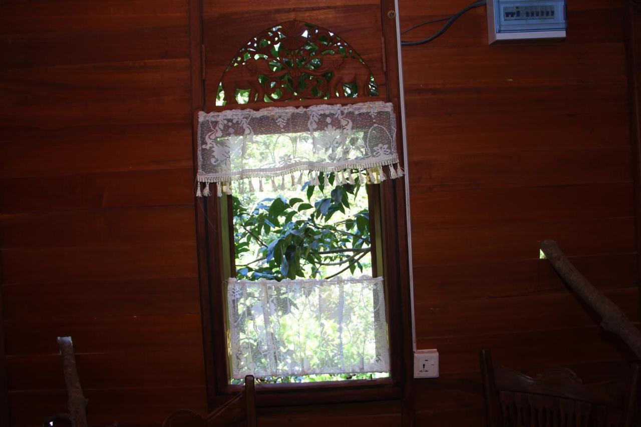 Tree House-Midigama Villa Weligama Exteriör bild