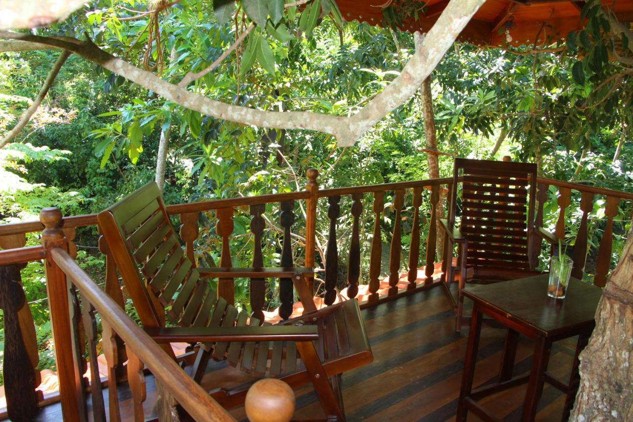 Tree House-Midigama Villa Weligama Exteriör bild