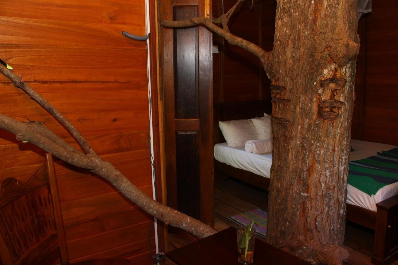Tree House-Midigama Villa Weligama Exteriör bild