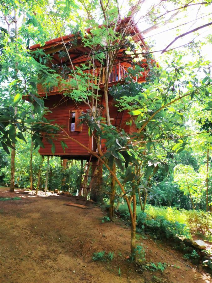Tree House-Midigama Villa Weligama Exteriör bild